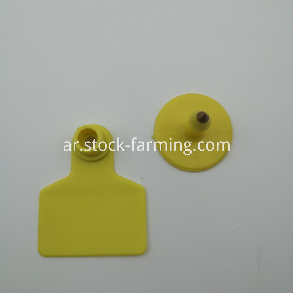 Ear Tag For Cattle M